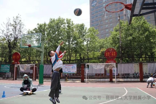 哪里能找到一对一的篮球训练指导_0